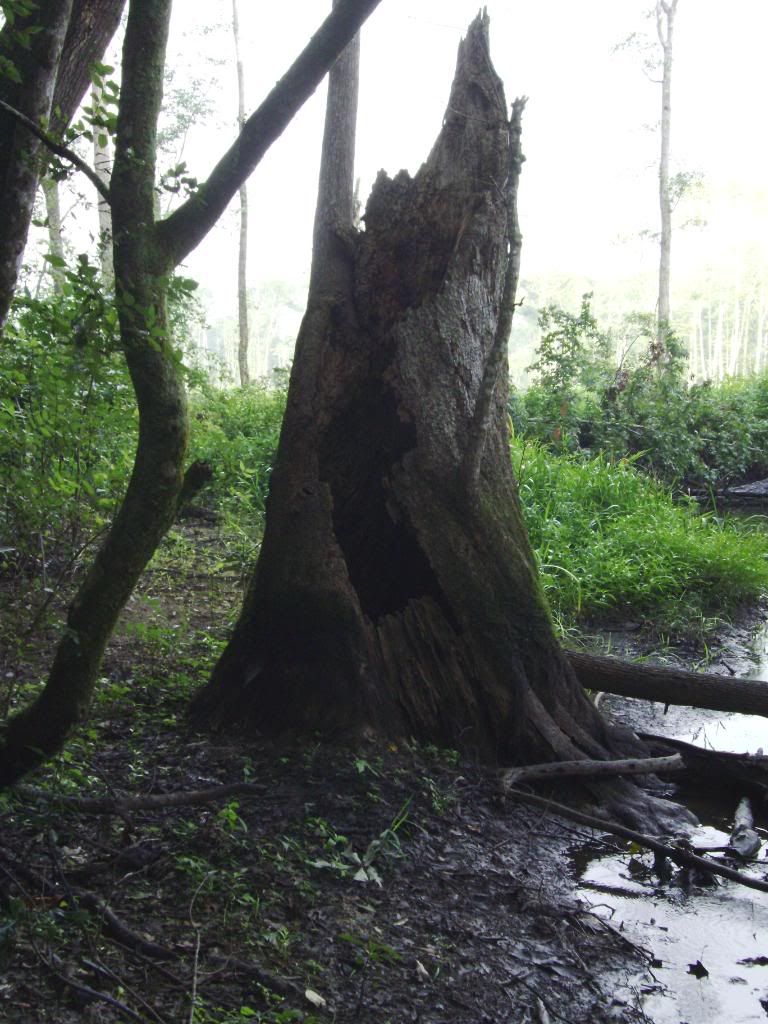 Kayaking the Ogeechee River in 2009 *Pic HEAVY* (1